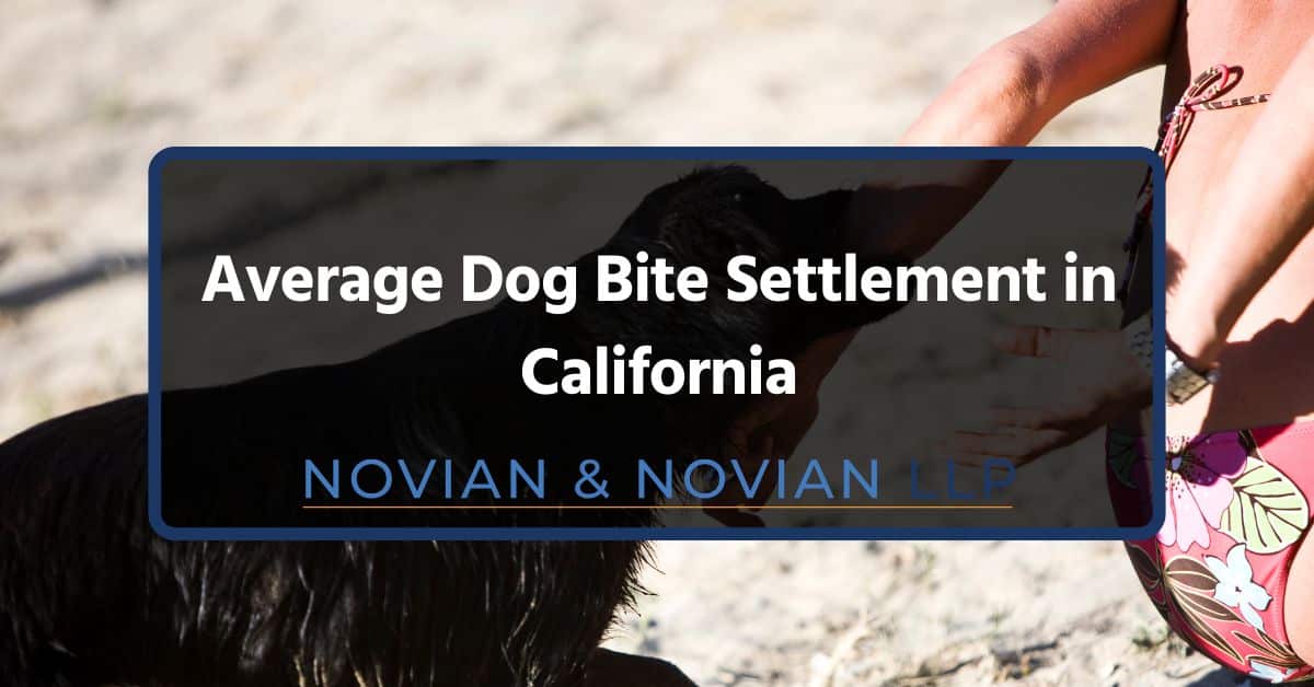 average dog bite settlement in california average dog bite settlement in california