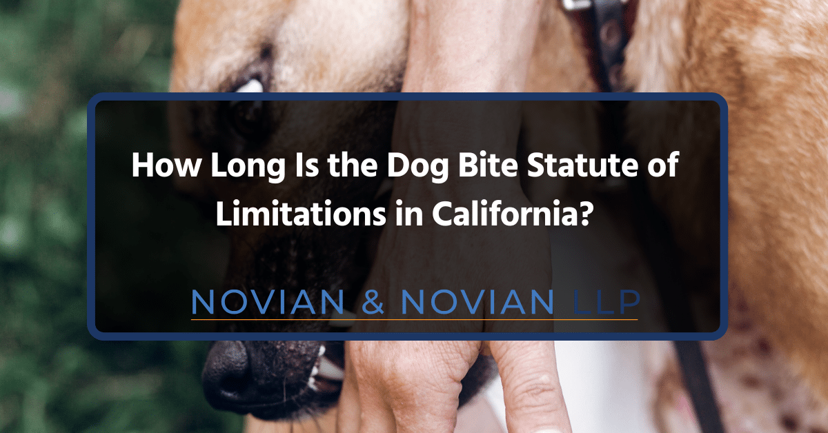 how long is the dog bite statute of limitations in california how long is the dog bite statute of limitations in california